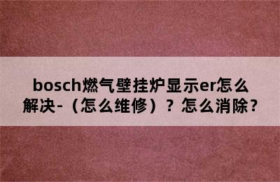 bosch燃气壁挂炉显示er怎么解决-（怎么维修）？怎么消除？