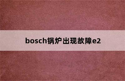 bosch锅炉出现故障e2