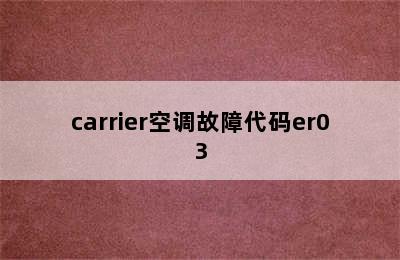 carrier空调故障代码er03