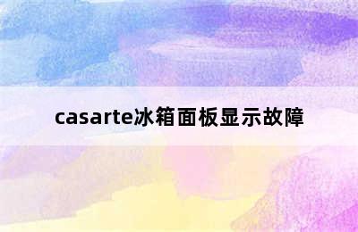 casarte冰箱面板显示故障