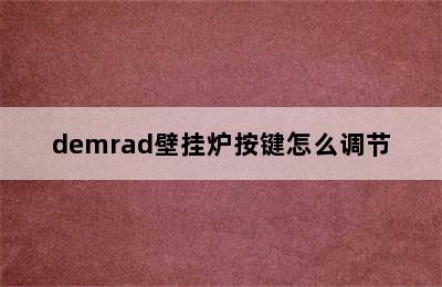 demrad壁挂炉按键怎么调节