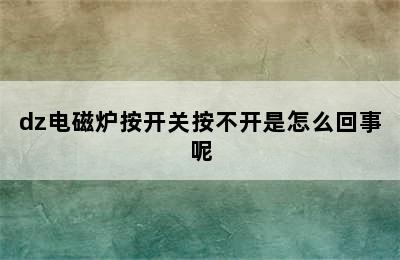 dz电磁炉按开关按不开是怎么回事呢