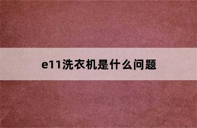 e11洗衣机是什么问题