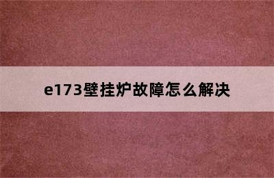 e173壁挂炉故障怎么解决