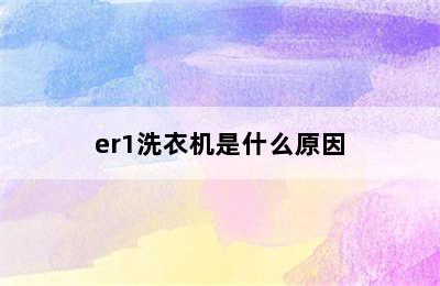 er1洗衣机是什么原因