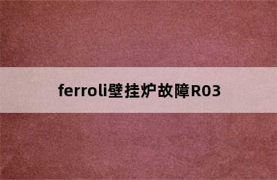 ferroli壁挂炉故障R03