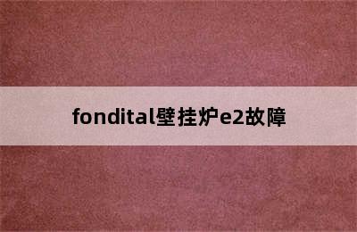 fondital壁挂炉e2故障