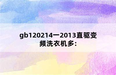 gb120214一2013直驱变频洗衣机多: