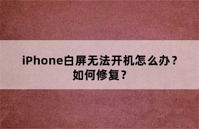 iPhone白屏无法开机怎么办？如何修复？