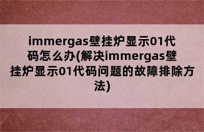 immergas壁挂炉显示01代码怎么办(解决immergas壁挂炉显示01代码问题的故障排除方法)