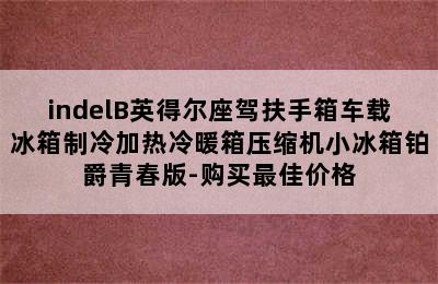 indelB英得尔座驾扶手箱车载冰箱制冷加热冷暖箱压缩机小冰箱铂爵青春版-购买最佳价格