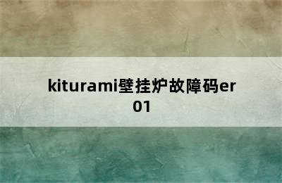 kiturami壁挂炉故障码er01