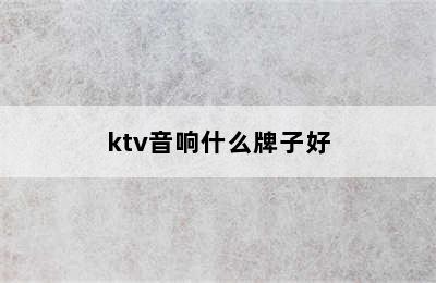 ktv音响什么牌子好