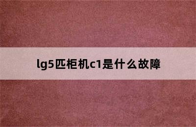 lg5匹柜机c1是什么故障