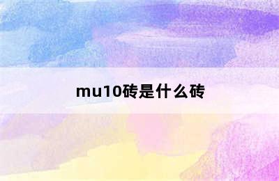 mu10砖是什么砖