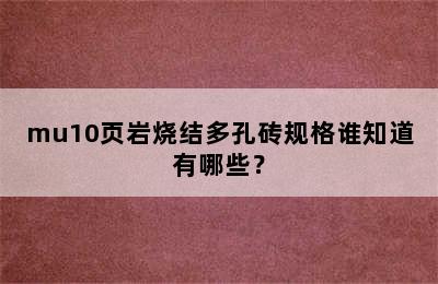 mu10页岩烧结多孔砖规格谁知道有哪些？