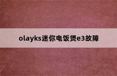 olayks迷你电饭煲e3故障