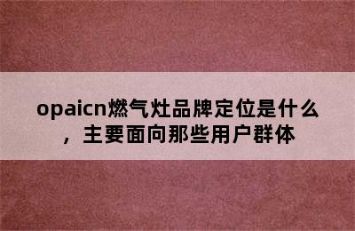 opaicn燃气灶品牌定位是什么，主要面向那些用户群体