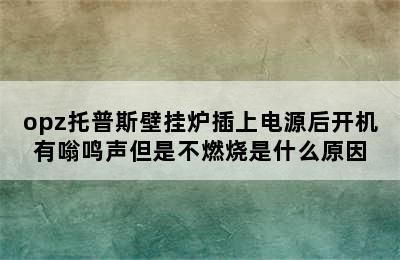 opz托普斯壁挂炉插上电源后开机有嗡鸣声但是不燃烧是什么原因