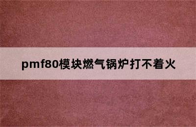 pmf80模块燃气锅炉打不着火