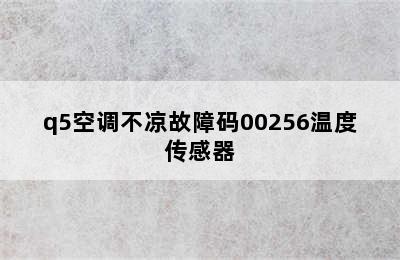 q5空调不凉故障码00256温度传感器