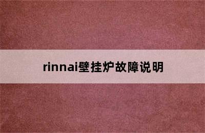 rinnai壁挂炉故障说明