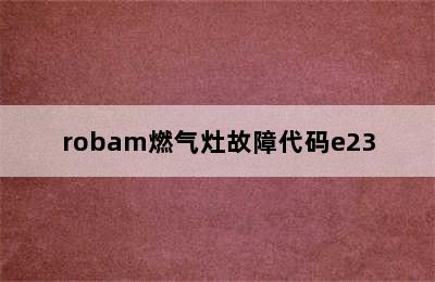 robam燃气灶故障代码e23