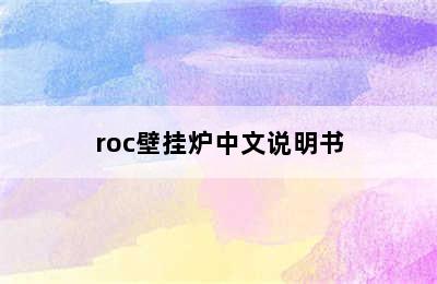 roc壁挂炉中文说明书