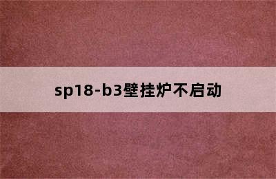 sp18-b3壁挂炉不启动