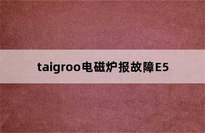 taigroo电磁炉报故障E5