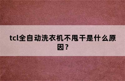 tcl全自动洗衣机不甩干是什么原因？