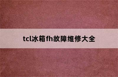 tcl冰箱fh故障维修大全