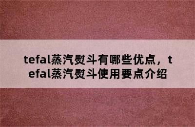 tefal蒸汽熨斗有哪些优点，tefal蒸汽熨斗使用要点介绍