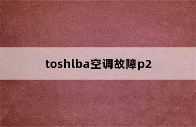 toshlba空调故障p2