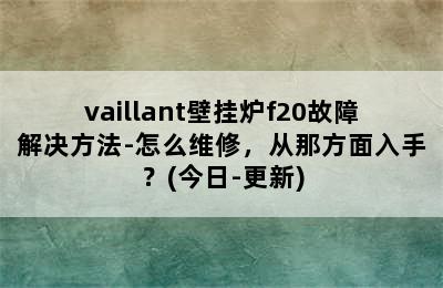 vaillant壁挂炉f20故障解决方法-怎么维修，从那方面入手？(今日-更新)