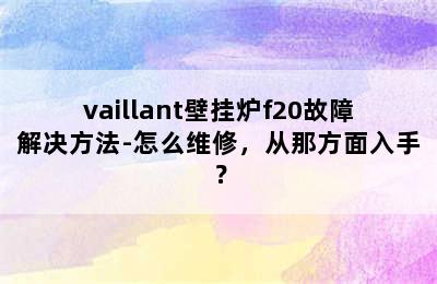 vaillant壁挂炉f20故障解决方法-怎么维修，从那方面入手？