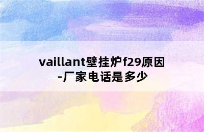 vaillant壁挂炉f29原因-厂家电话是多少