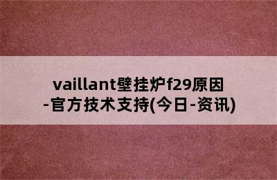 vaillant壁挂炉f29原因-官方技术支持(今日-资讯)