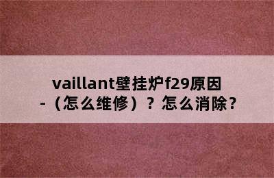 vaillant壁挂炉f29原因-（怎么维修）？怎么消除？