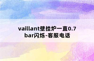 vaillant壁挂炉一直0.7bar闪烁-客服电话