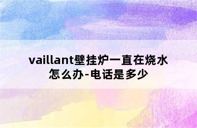 vaillant壁挂炉一直在烧水怎么办-电话是多少