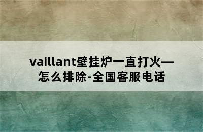 vaillant壁挂炉一直打火—怎么排除-全国客服电话