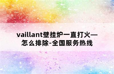 vaillant壁挂炉一直打火—怎么排除-全国服务热线