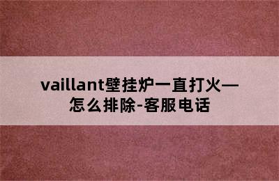 vaillant壁挂炉一直打火—怎么排除-客服电话