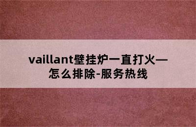 vaillant壁挂炉一直打火—怎么排除-服务热线