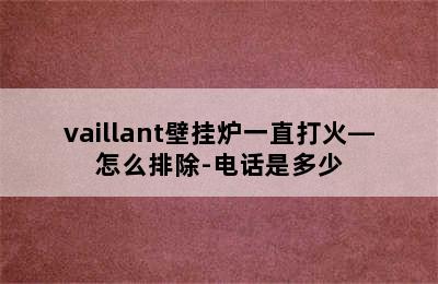 vaillant壁挂炉一直打火—怎么排除-电话是多少