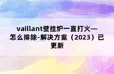 vaillant壁挂炉一直打火—怎么排除-解决方案（2023）已更新