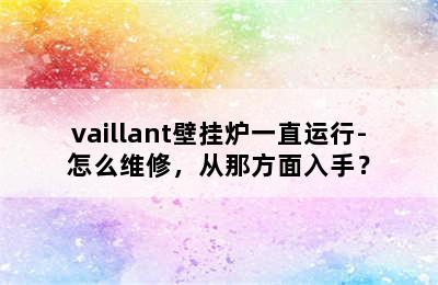 vaillant壁挂炉一直运行-怎么维修，从那方面入手？