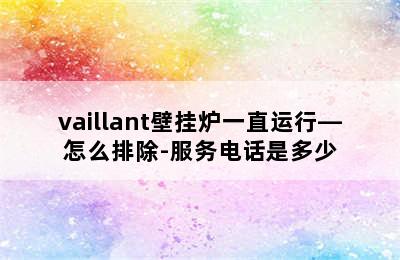 vaillant壁挂炉一直运行—怎么排除-服务电话是多少