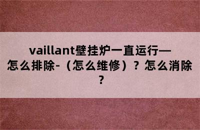 vaillant壁挂炉一直运行—怎么排除-（怎么维修）？怎么消除？